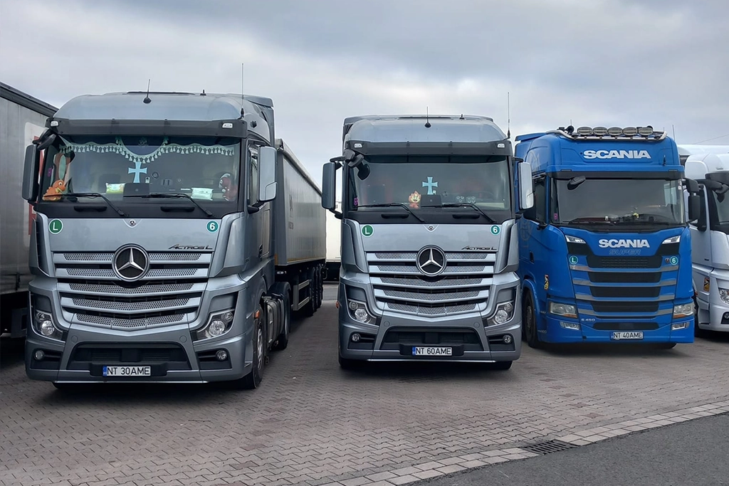 Profesionalism operațional